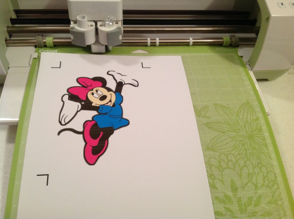 Minnie printed on Vinyl